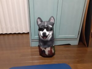 狼デイズとは?