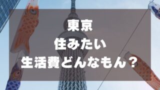 【東京×生活費】東京で一人暮らしするための生活費戦略【新卒手取り15万でいける】